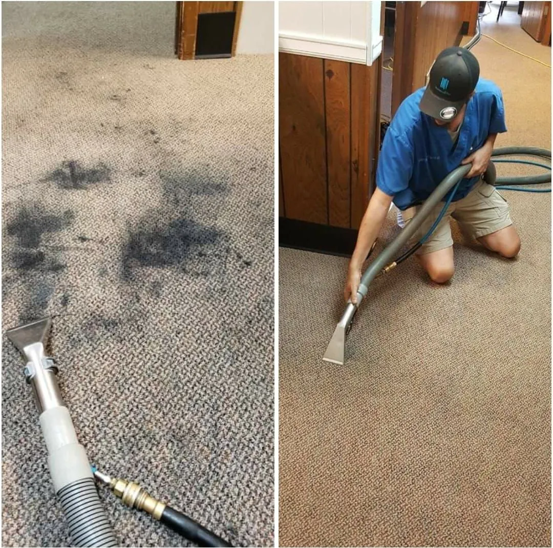 Residential Carpet Cleaning Gallery 4