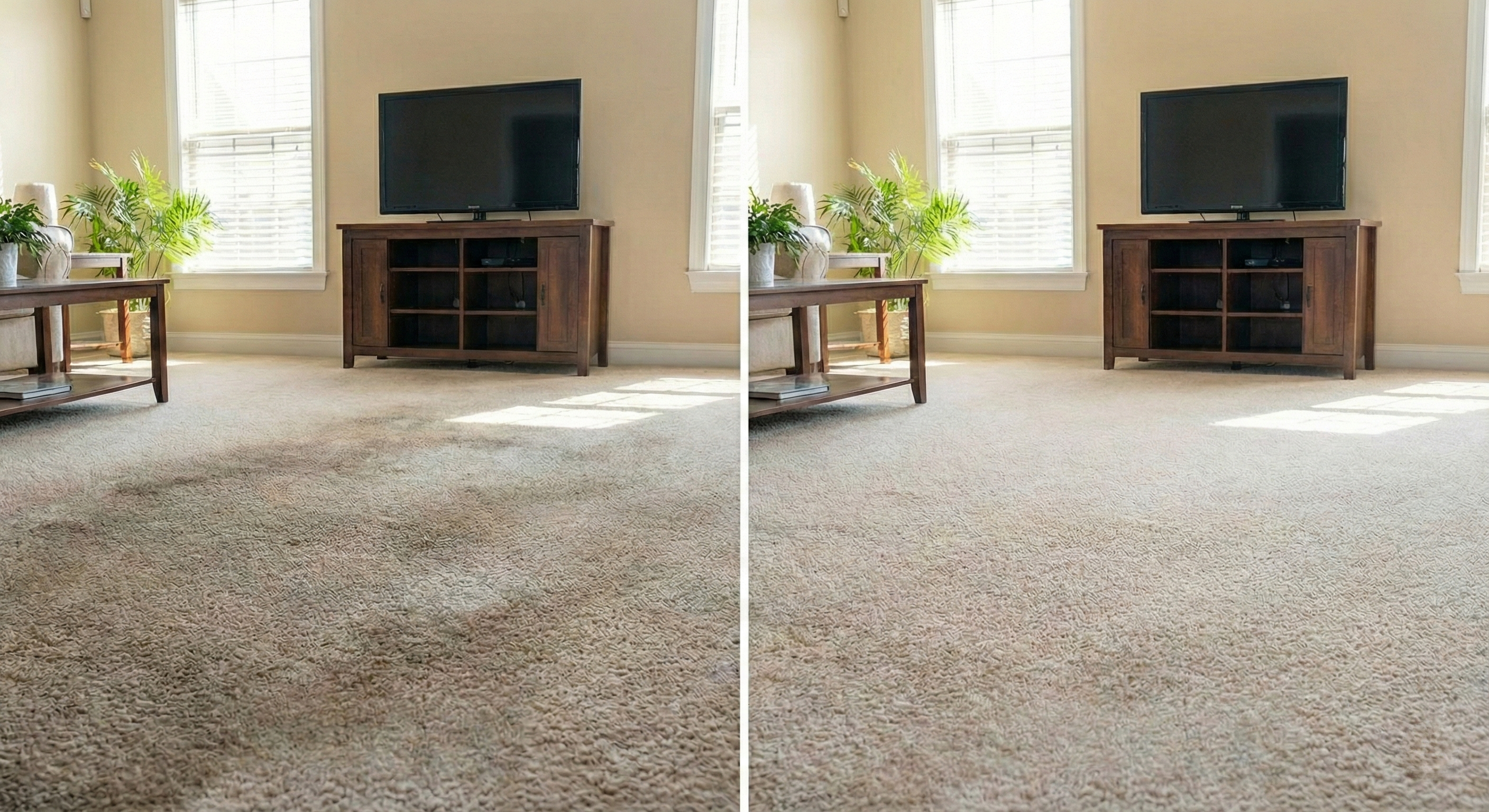 Residential Carpet Cleaning